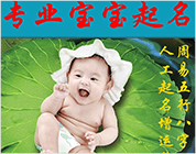 宝宝起名
